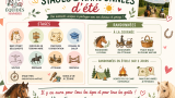 Stages d'équitation