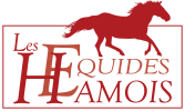 Les Equidés Hamois